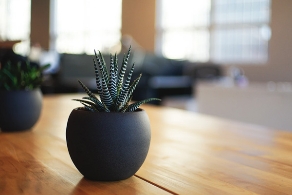 經(jīng)濟版與豪華版方案對比